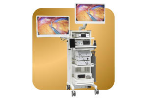 VIRON endoscopic imaging system