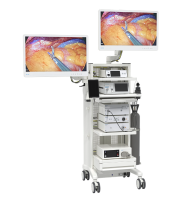 VIRON endoscopic imaging system