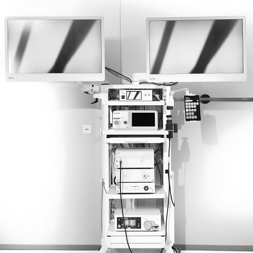 VIRON endoscopic imaging system