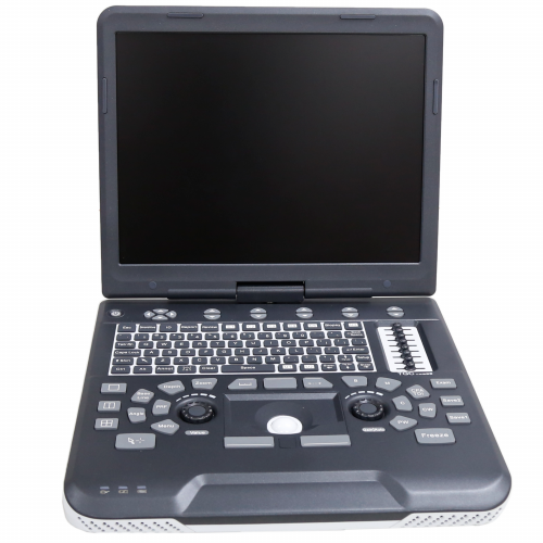 Diagnostic ultrasonic system Apogee 1000