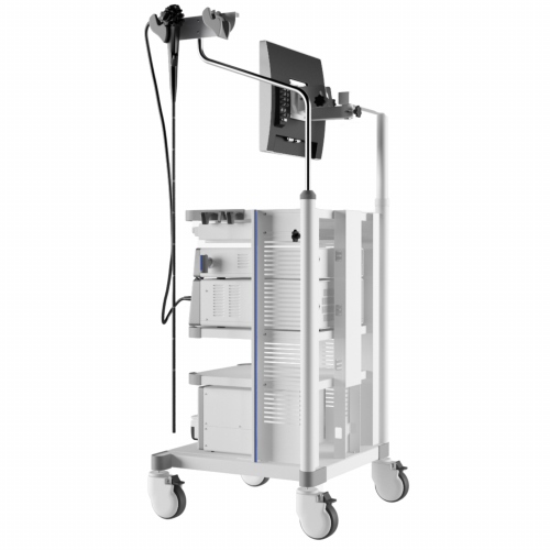 AQ-100 endoscopic system