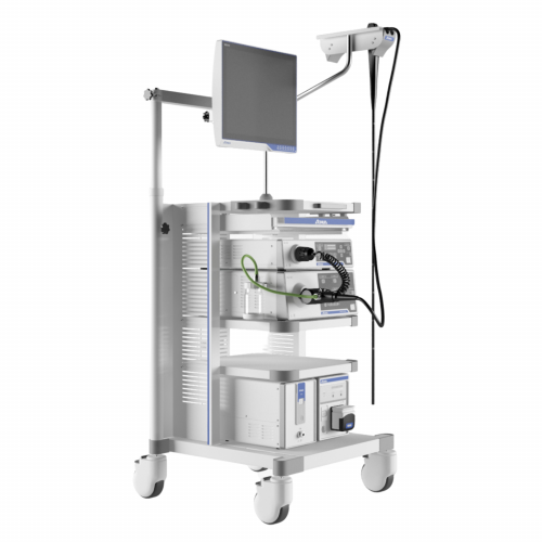 AQ-100 endoscopic system