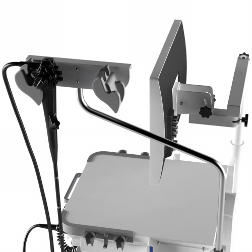 AQ-100 endoscopic system