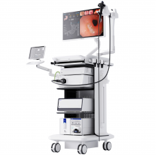 Endoscopic system AQ-300 4K 