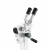 Binocular colposcope KN-2200