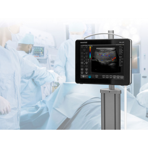 Ultrasound diagnostic system DRAMINSKI BLUE 